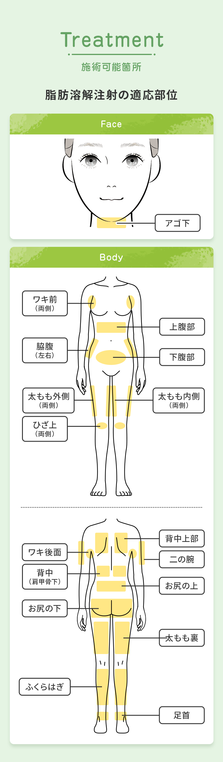 施術可能箇所